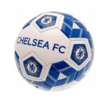 チェルシーCHELSEA のボールペン2本セットケース付き　新品　サッカーチーム チェルシー フットボールクラブ Chelsea FC オフィシャル商品