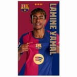 FCBバルセロナ タオルケット 61kfyIW1EsL._UF894,1000_QL80_.jpg